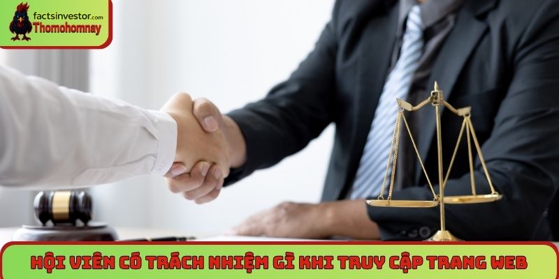 Hiểu điều kiện điều khoản Thomohomnay để tránh rủi ro 6 Hội viên có trách nhiệm gì khi truy cập trang web